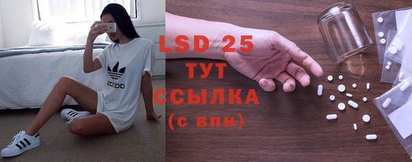 прущие грибы Гусев