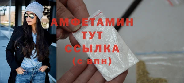 трава Гусиноозёрск