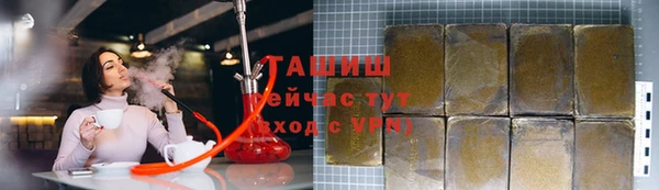 прущие грибы Гусев