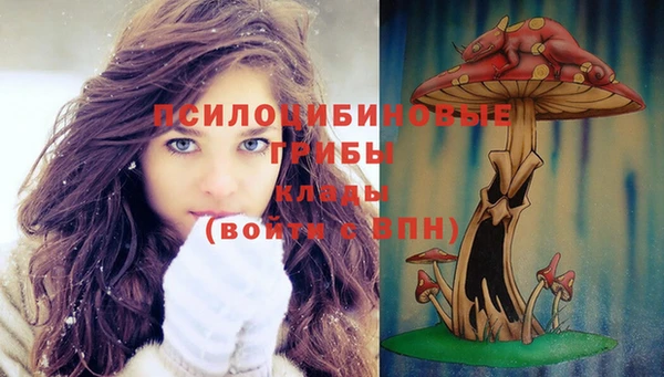 трава Гусиноозёрск