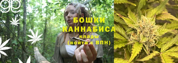 трава Гусиноозёрск