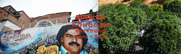 индика Струнино