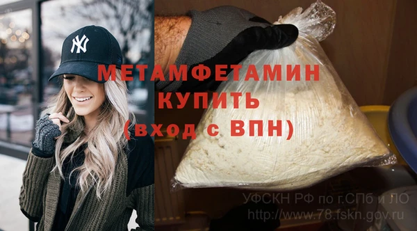 прущие грибы Гусев