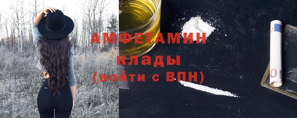 прущие грибы Гусев