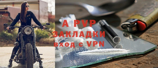 прущие грибы Гусев