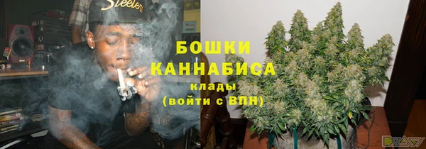 трава Гусиноозёрск