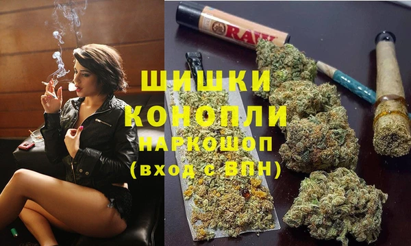 трава Гусиноозёрск