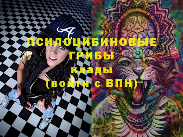 трава Гусиноозёрск