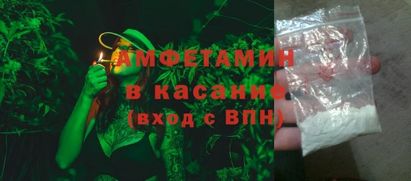 трава Гусиноозёрск