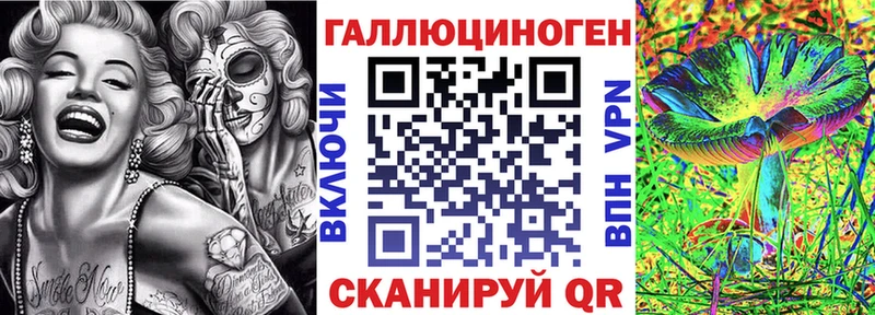 Галлюциногенные грибы Psilocybe  Купить где  Оха 